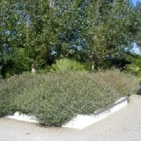 Schoenes Assione Mit Pool By Interhome